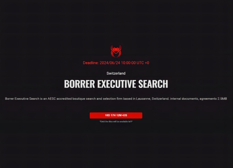 瑞士高端人才搜索公司Borrer Executive Search遭遇勒索攻击